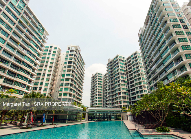 Livia thumbnail photo